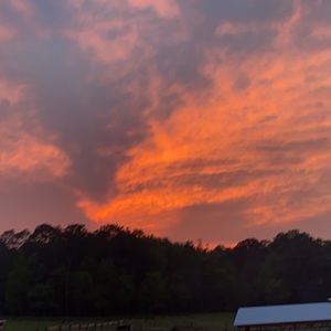 Meet your Posher, Kassie